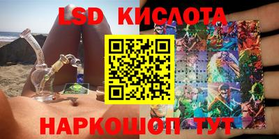 винт Славгород