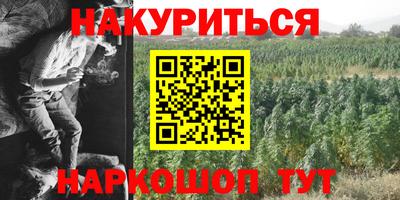 СК Сланцы