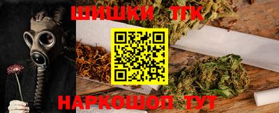 СК Сланцы